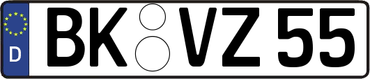 BK-VZ55