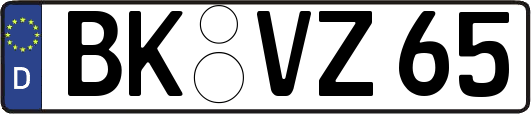 BK-VZ65