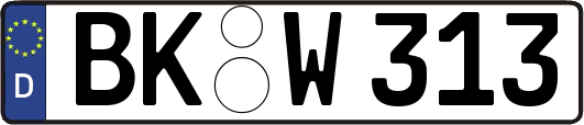BK-W313