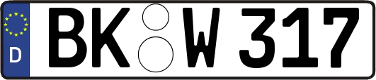 BK-W317