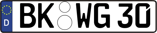 BK-WG30