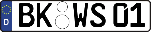 BK-WS01