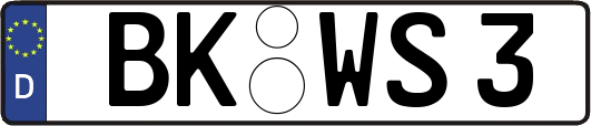 BK-WS3