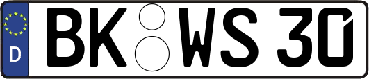 BK-WS30