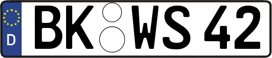 BK-WS42