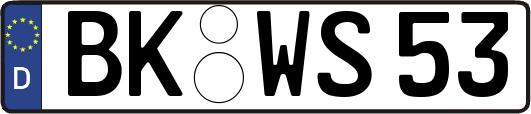 BK-WS53