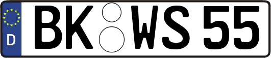 BK-WS55