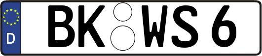 BK-WS6