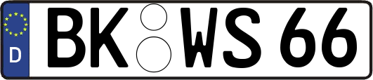BK-WS66