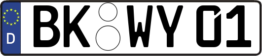 BK-WY01