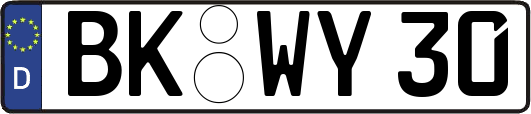 BK-WY30