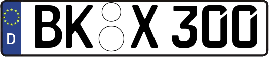BK-X300