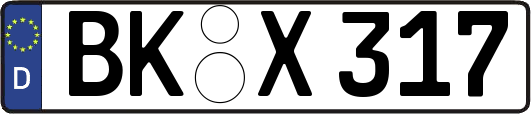 BK-X317