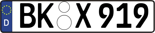 BK-X919