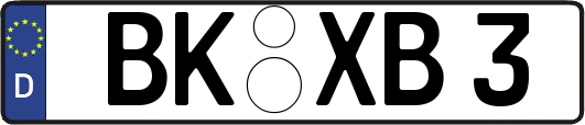 BK-XB3