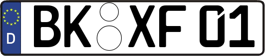 BK-XF01