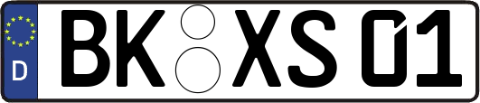 BK-XS01