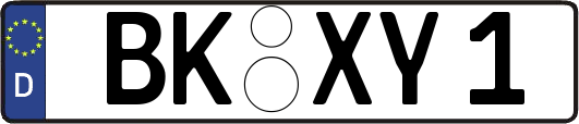 BK-XY1