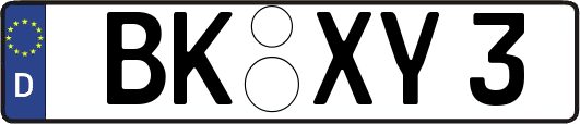 BK-XY3