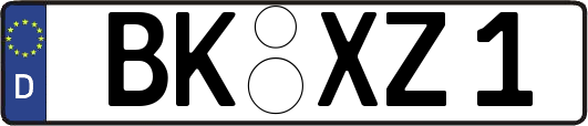 BK-XZ1