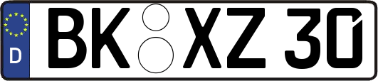 BK-XZ30