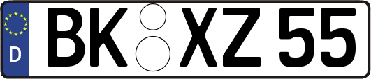 BK-XZ55