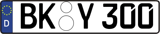 BK-Y300