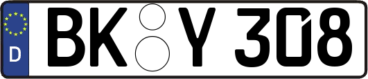 BK-Y308
