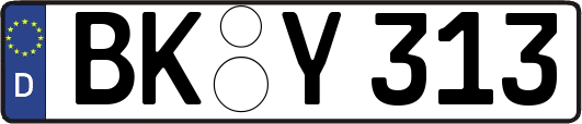 BK-Y313