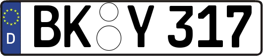 BK-Y317
