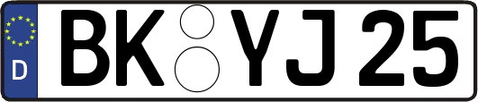 BK-YJ25