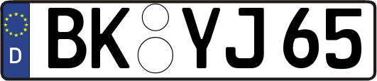 BK-YJ65