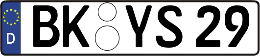 BK-YS29