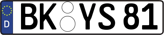 BK-YS81