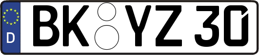 BK-YZ30