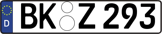 BK-Z293
