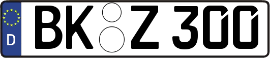 BK-Z300