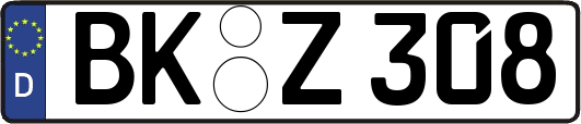 BK-Z308