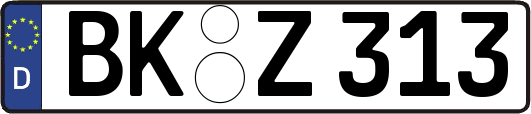 BK-Z313
