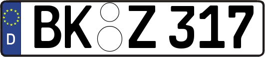 BK-Z317