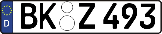 BK-Z493