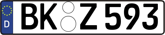 BK-Z593