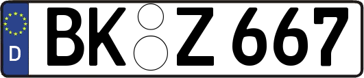 BK-Z667
