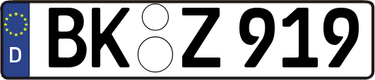 BK-Z919