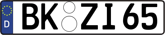 BK-ZI65