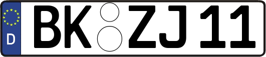 BK-ZJ11