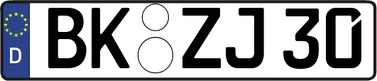 BK-ZJ30