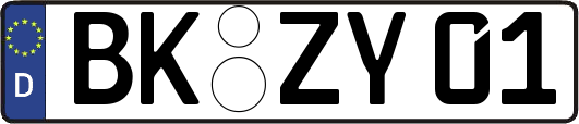 BK-ZY01