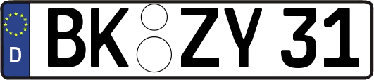 BK-ZY31