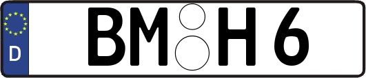 BM-H6